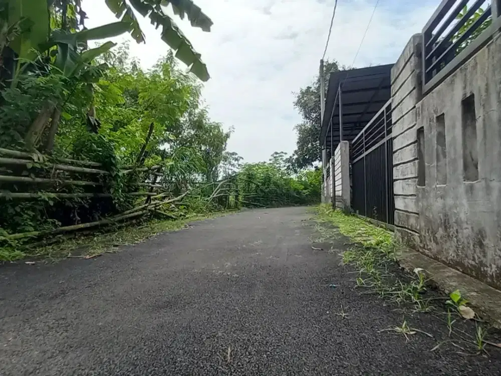 Tanah Rajeg Murah 300 Jutaan All in - Terima SHM