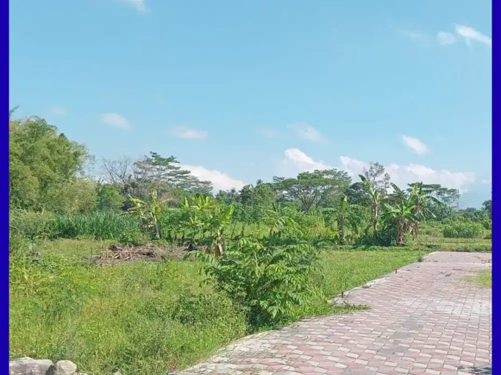 Tanah Jogja 1 Km Dari Jalan Kaliurang Sardonoharjo AJB Notaris