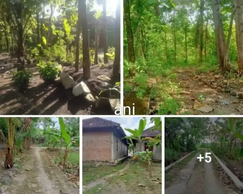 Jual tanah lokasi weru Sukoharjo luas 1530m harga 175jt nego