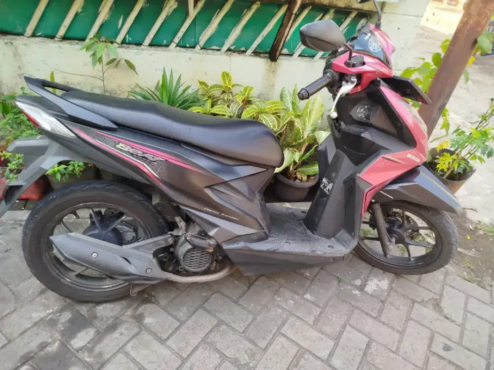 Honda Beat Warna Magenta