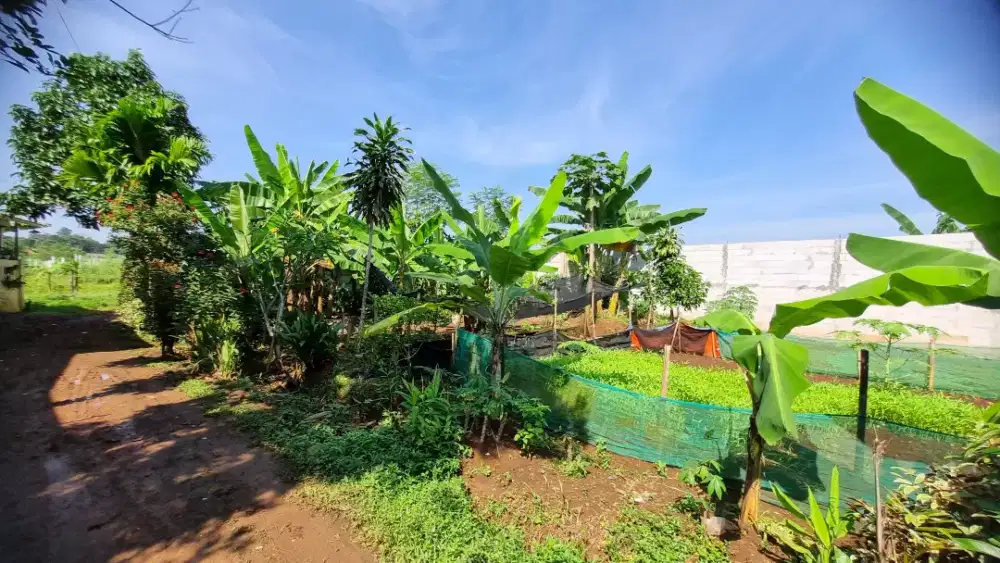 Dijual Tanah Strategis di Gunung Sindur–Lokasi Dekat SPBU Rawa Kalong!