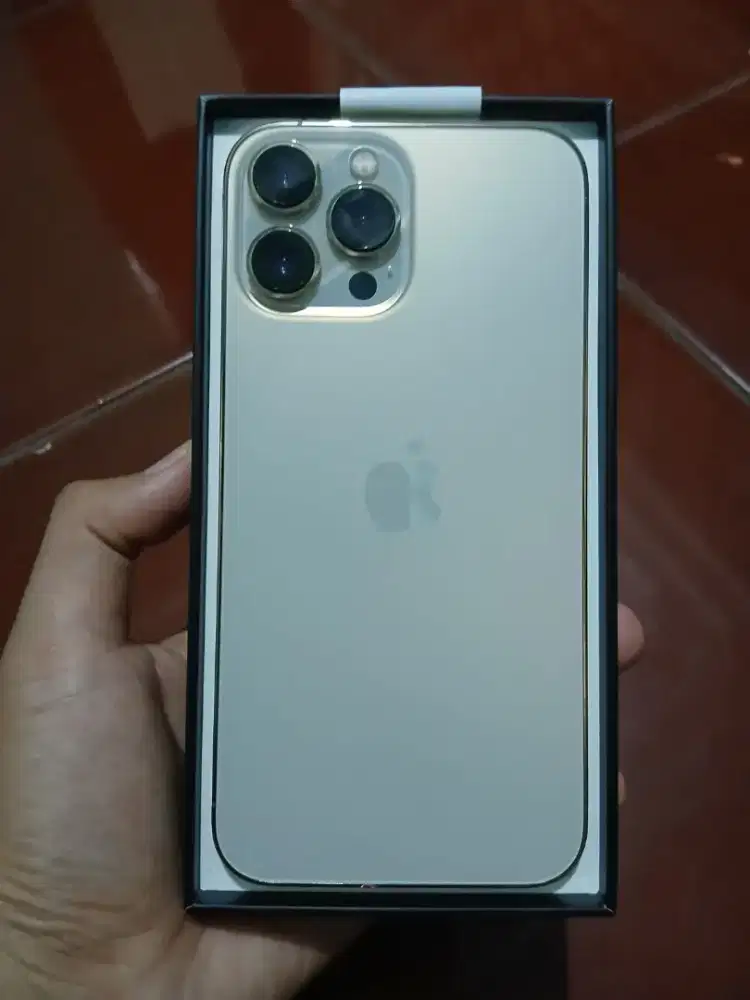 Sale iPhone 13 promax