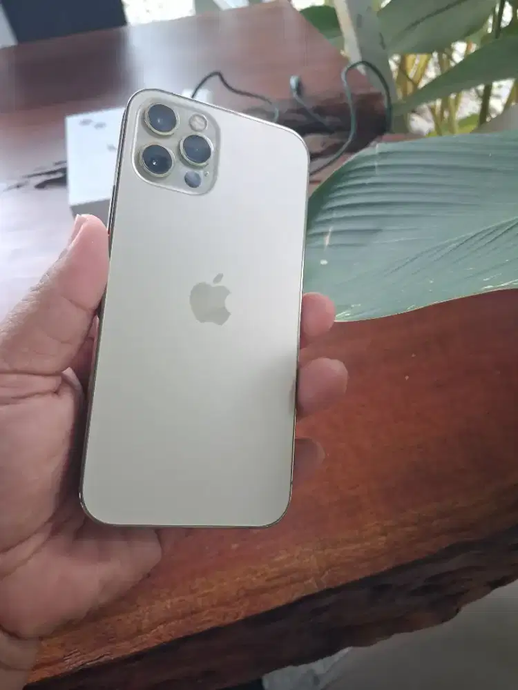 Iphone 12 Pro 256 GB IBOX, Warna GOLD