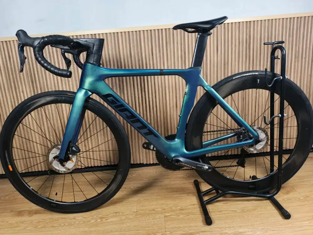 Roadbike Giant Propel Pro 0