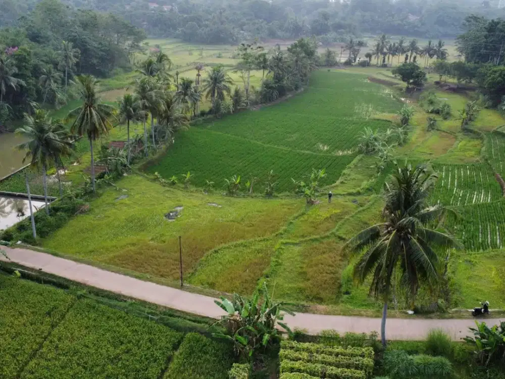 Tanah Sawah Ada Air Mengalir di Pasawahan Dekat Kota Dijual Murah
