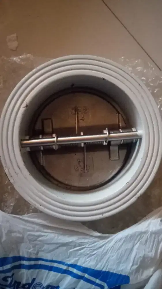 Check Valve Batterfly 4