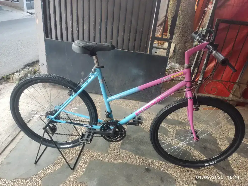 Sepeda Federal lady wild cat size 19 UK.26