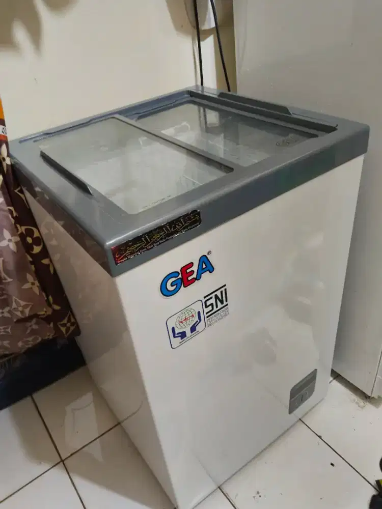 FREEZER BOX 100 L GEA