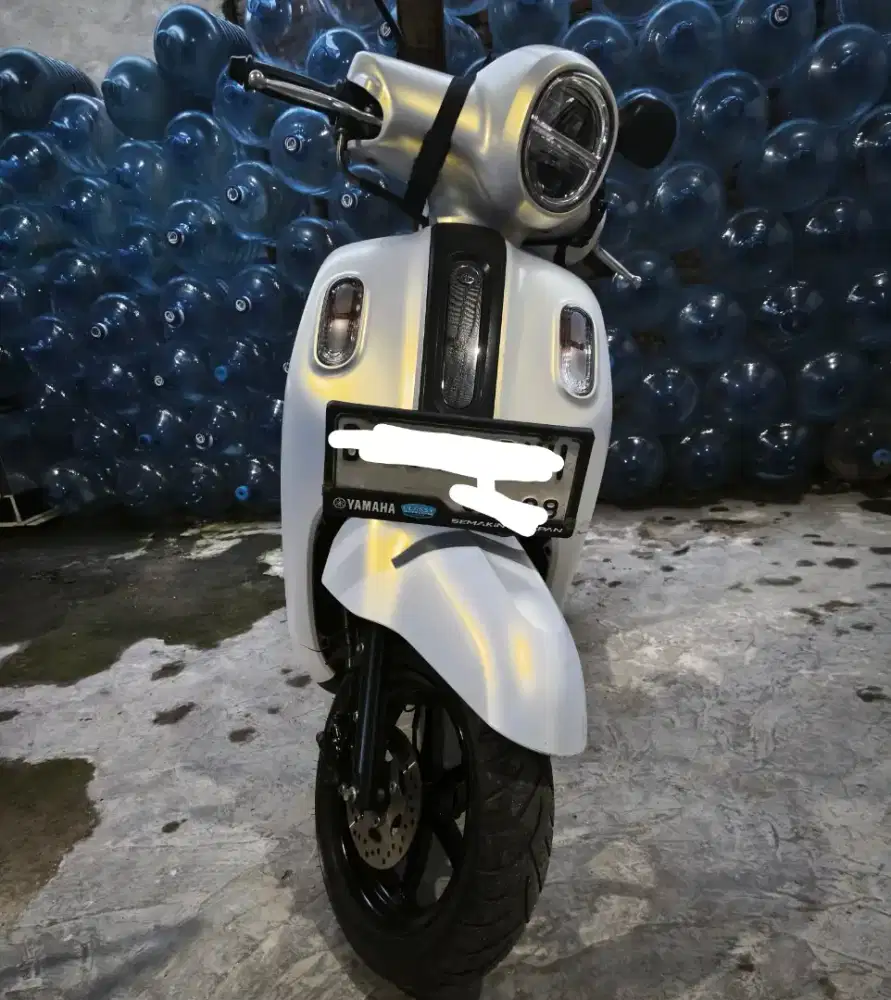 Fazzio 2023 putih mutiara