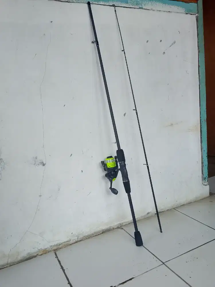 Barter burung fullset