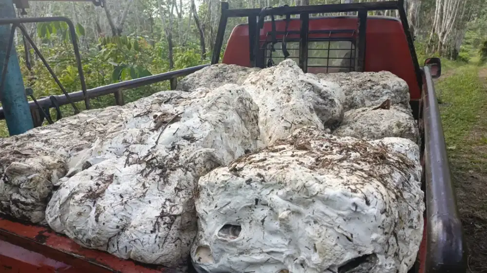 Dicari Pemotong Pemantang Karet yang mau kerja keras dan sungguh2