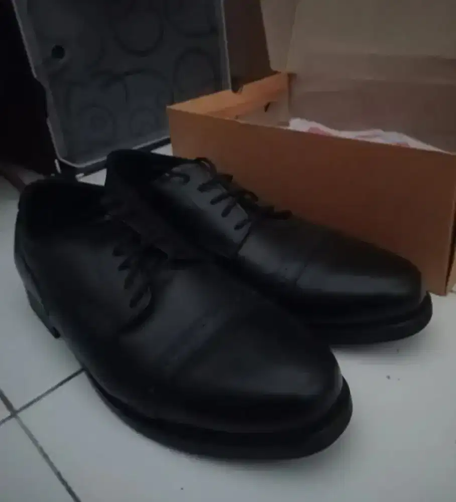 Flavio Boston Original size 46