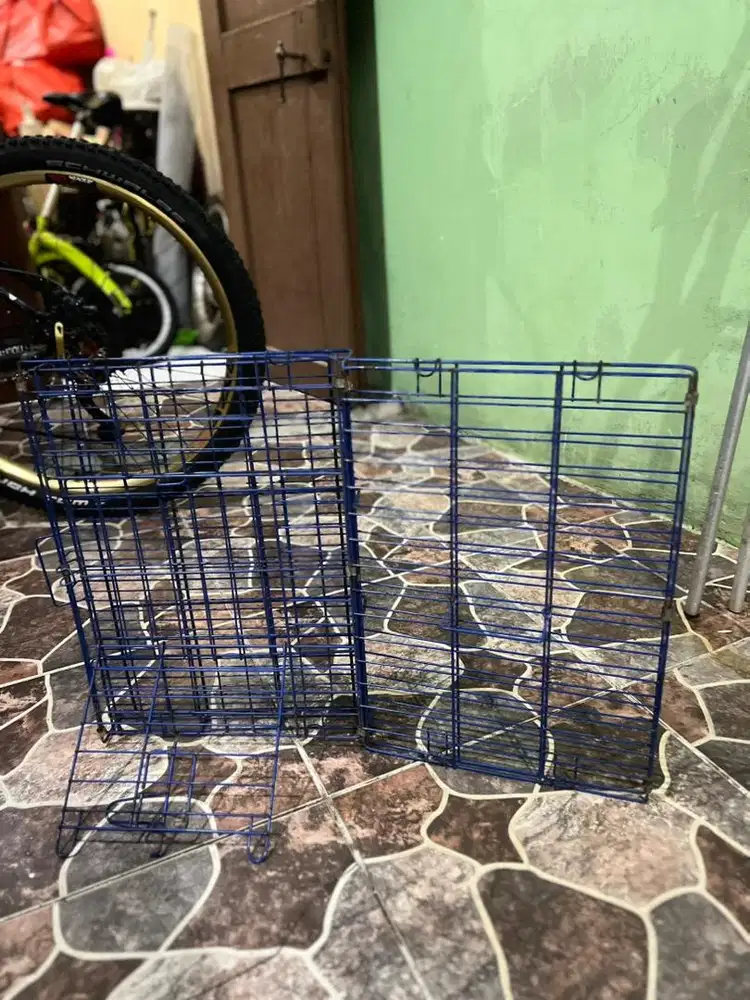 Kandang kucing sedang