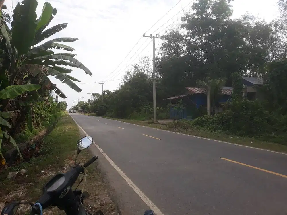 Dijual Lahan strategis di pinggir jalan raya Propinsi untuk usaha