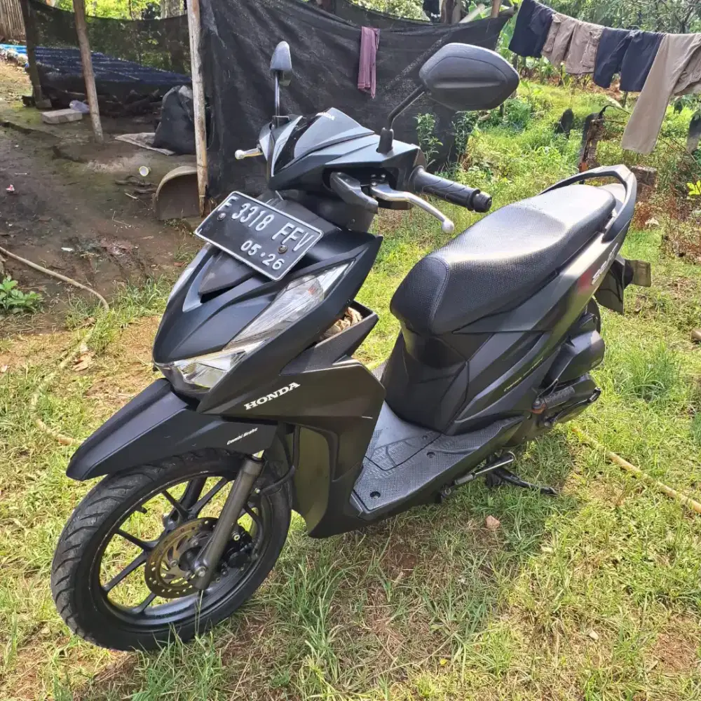 Honda beat Dulux 2021