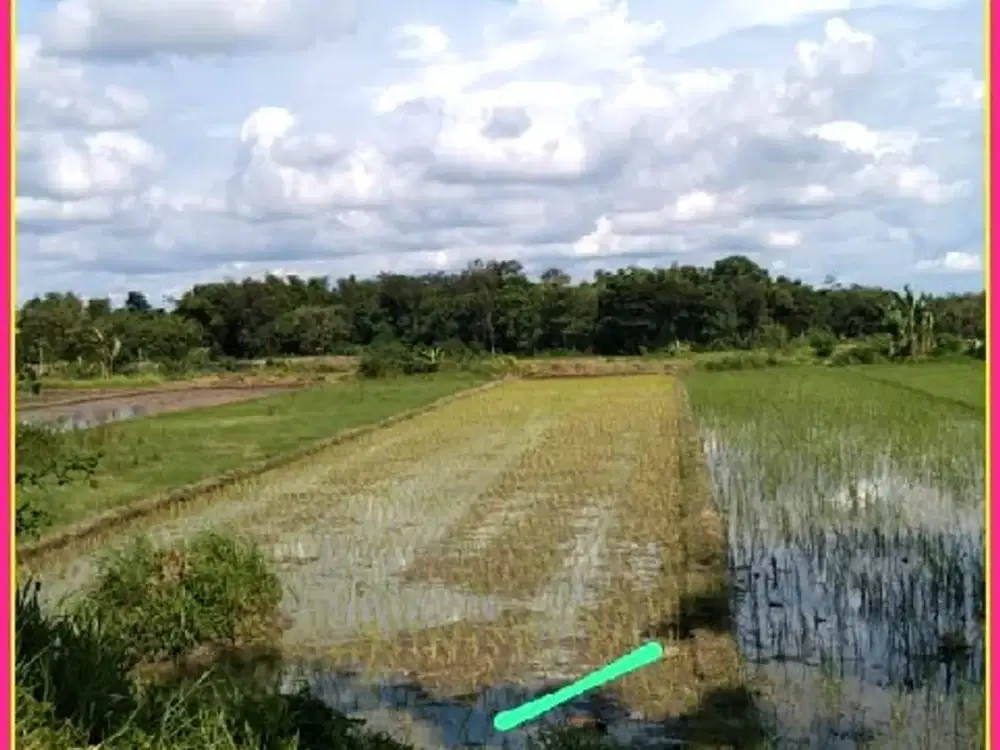 Tanah Dekat SMPN 4 Kalasan SHM P