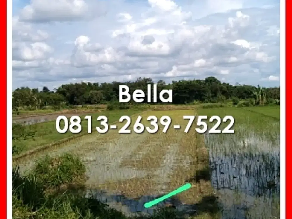 Tanah Selatan Kelurahan Tamanmartani Sleman