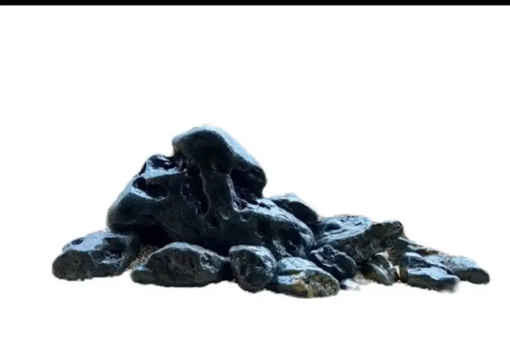 batu hakkai untuk dekorasi akuarium