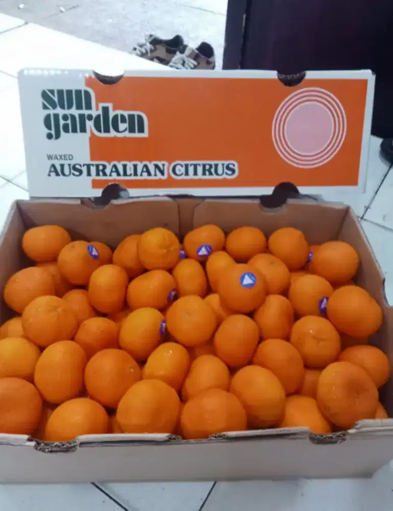 Fresh fruit/ jeruk afforel