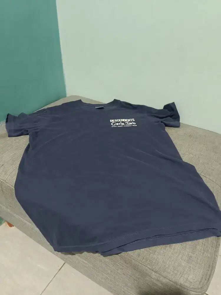 Kaos descendents x circle jerks tour