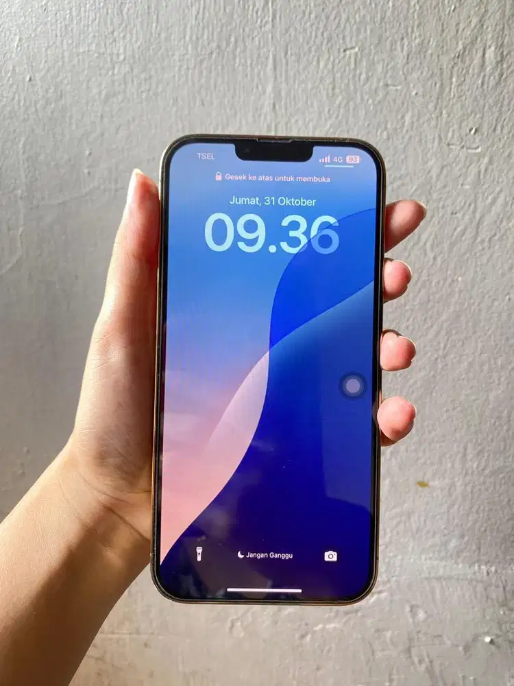 Ip 13 promax inter beacukai msh garansi toko