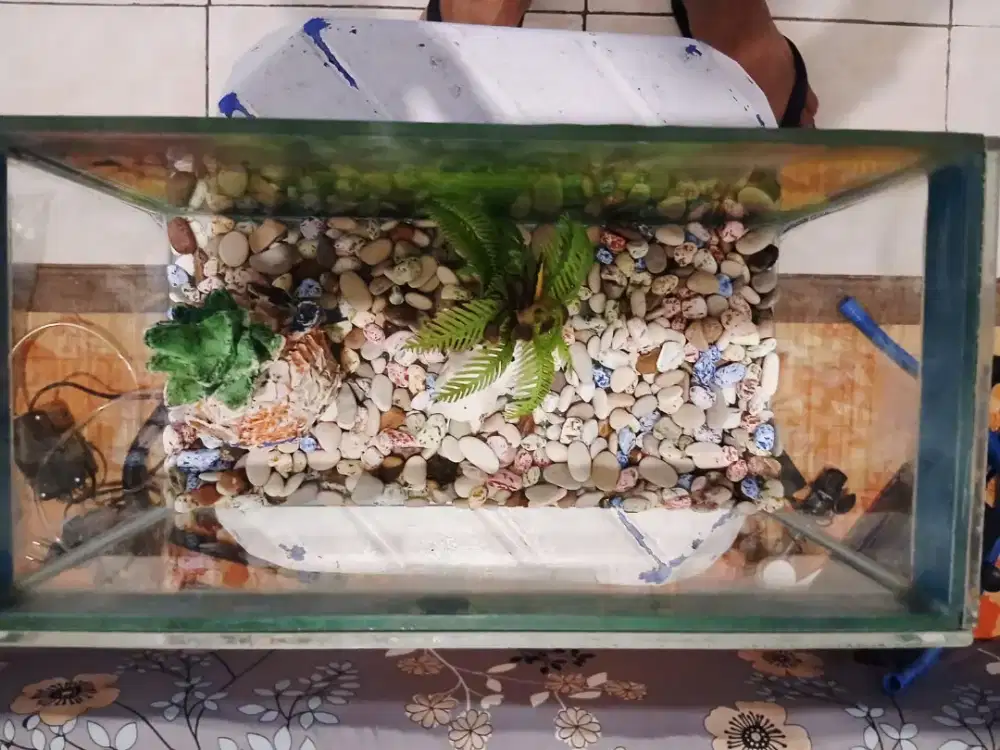 Akuarium set lengkap ukuran 30cm x 15 cm