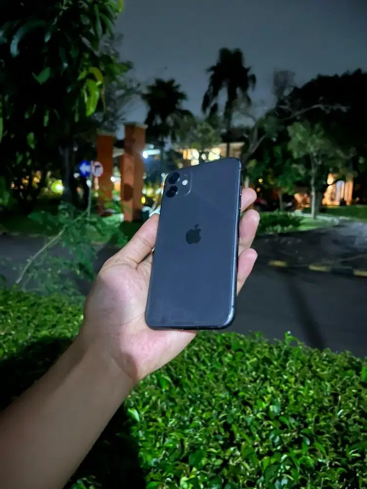 iPhone 11 256Gb inter