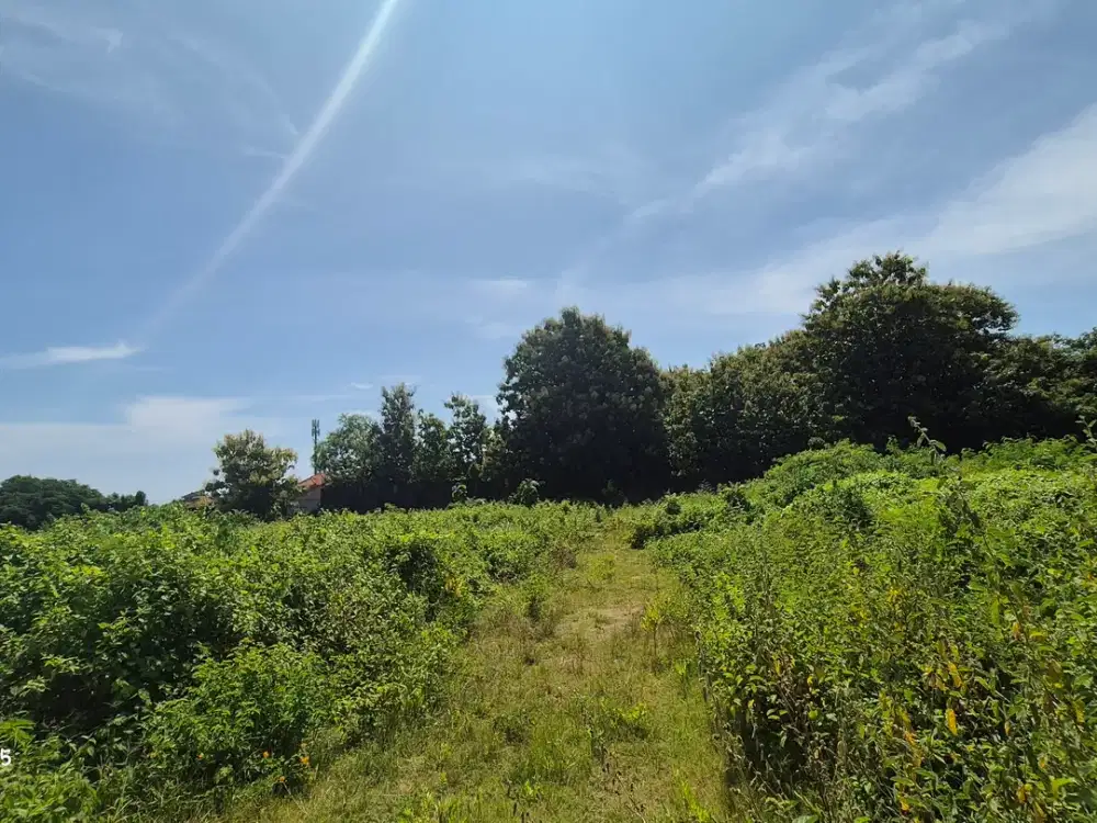 Land For Sale Ideal for Residential or Villa Complex Development in Nusa Dua