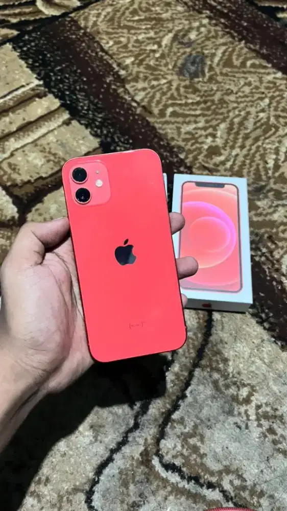 IPHONE 12 256 GB INTER