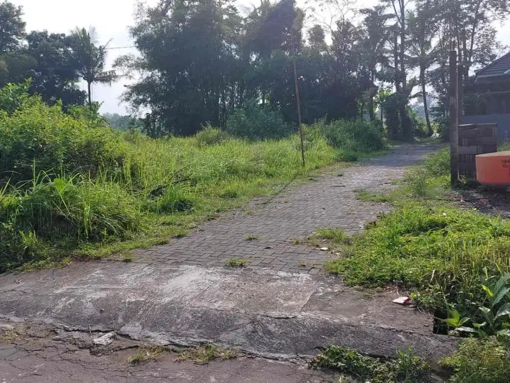 Dijual Tanah Pekarangan di Caturharjo Sleman