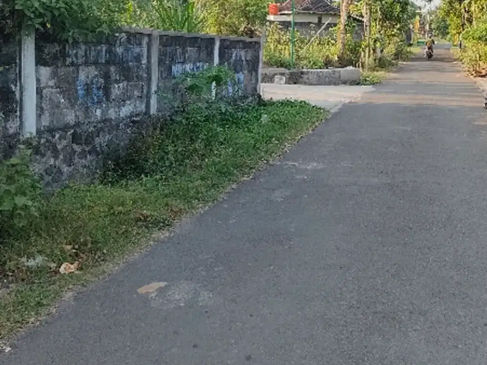 Bu dijual tanah pekarangan view sawah murah dimanisrenggo