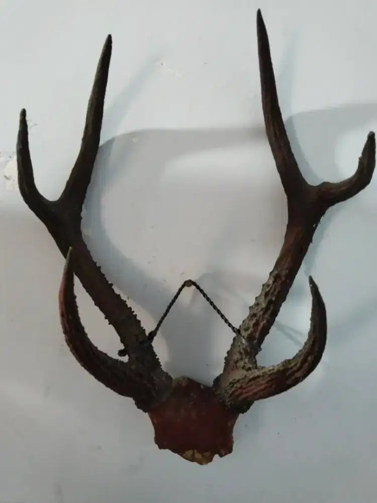 Pajangan adat dan seni