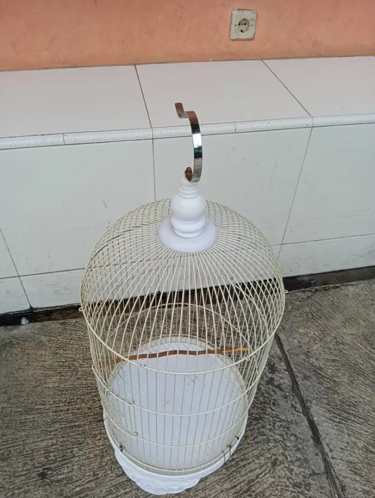 Mulus pintu tengah jangan tanya minus