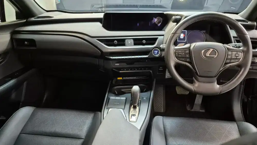 Lexus UX300E EV nik 2022