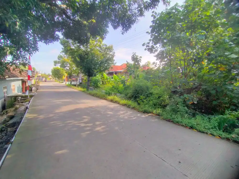 Mau buat usaha atau rumah... Oke pokoknya!