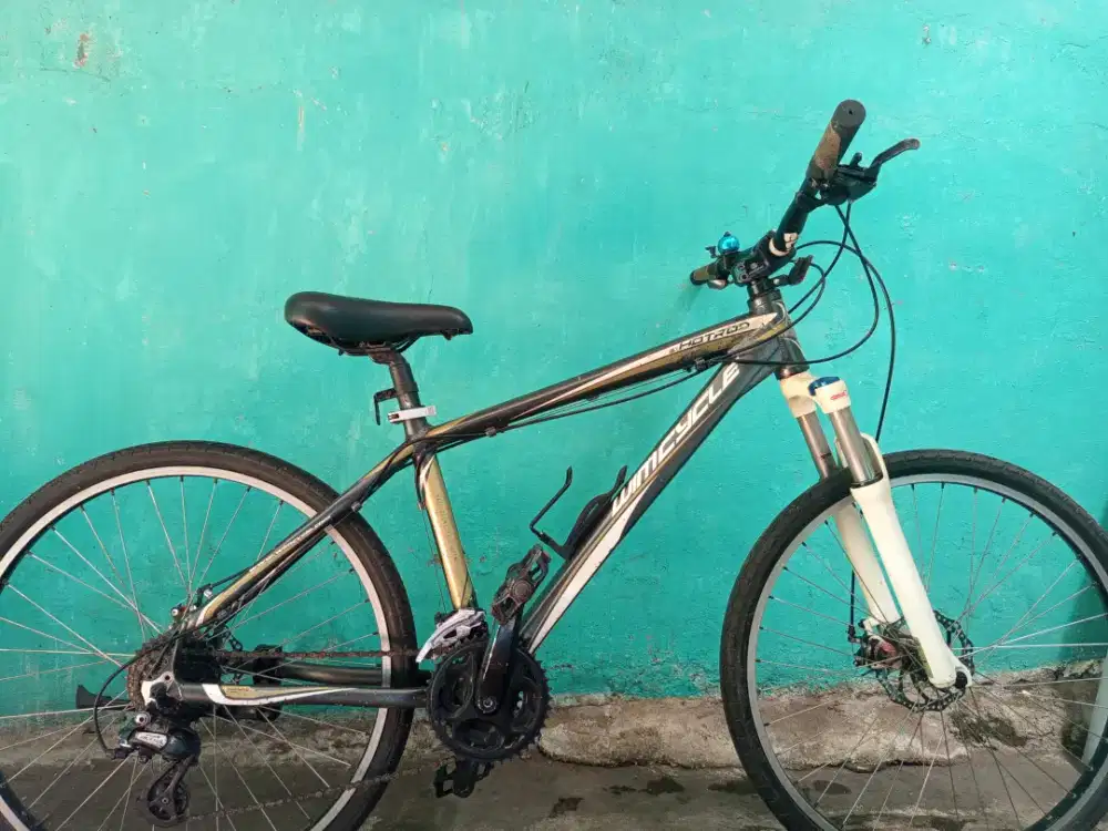 Jual Sepeda Wimcycle Hotrod