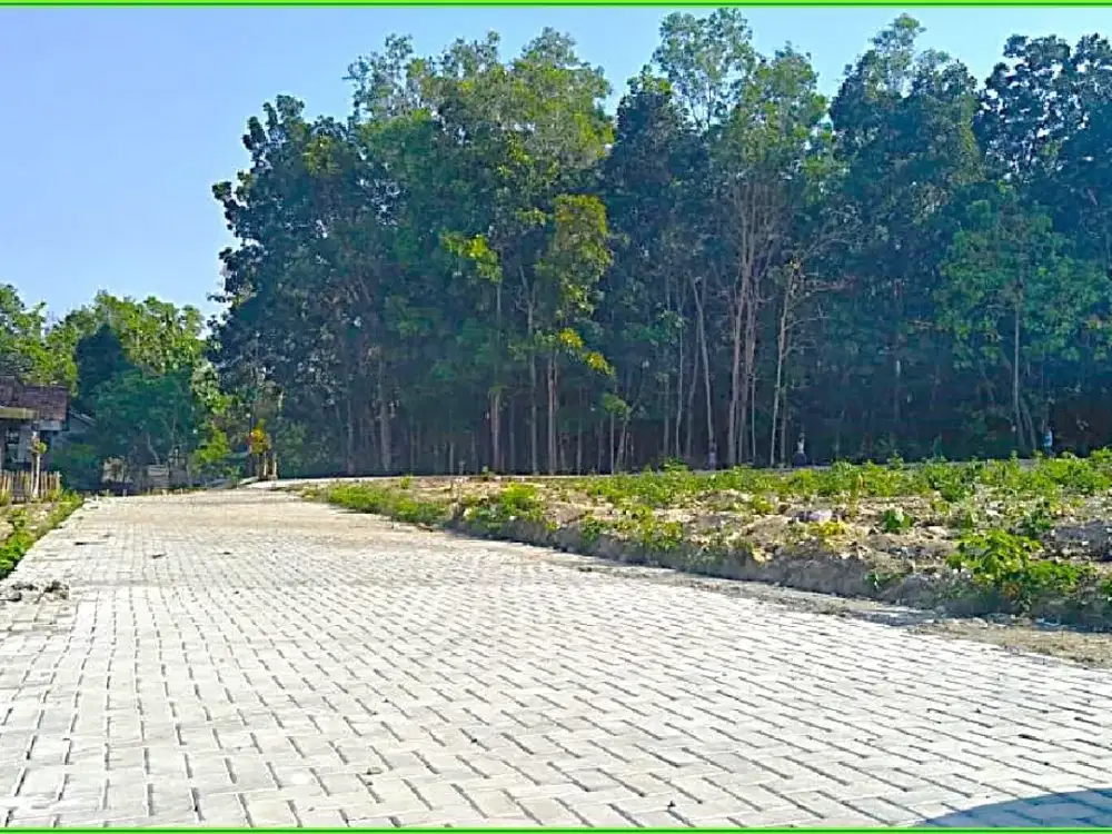 Tanah Untuk Rumah Dekat Pasar Gamping Lokasi Strategis