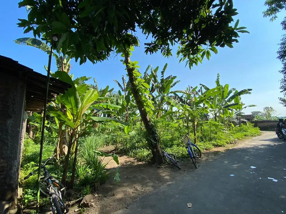 Tanah dijual di Klaten