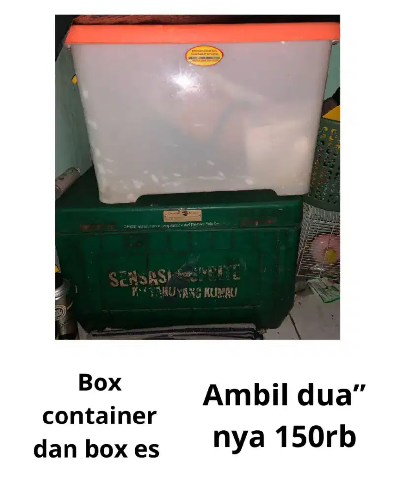 Box container bekas