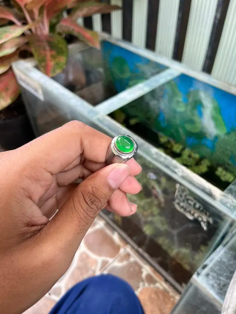 Chrome Monel Giok Heat C