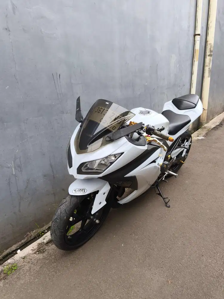 Kawasaki Ninja FI 250 2013