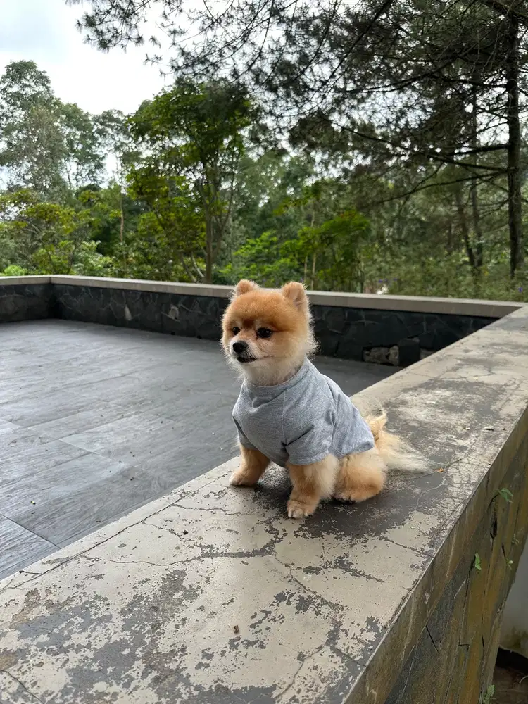 Dicari Pembantu RT PP Greenlake City Cipondoh / Kosambi / Ketapang