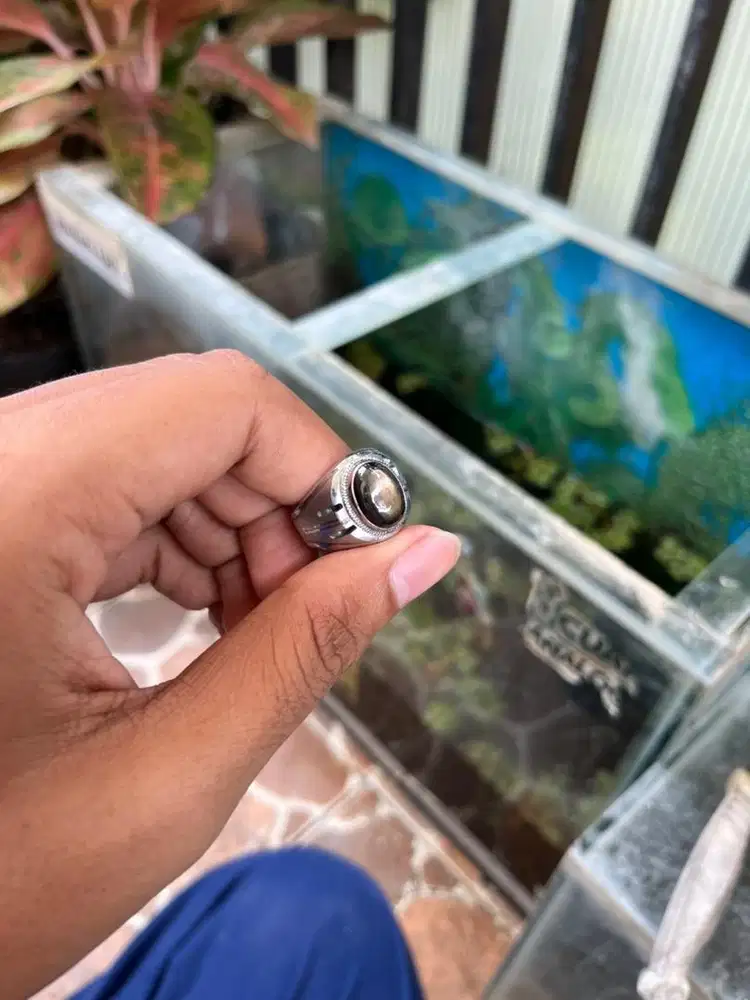 Chrome Monel Star Sapphine Thailand