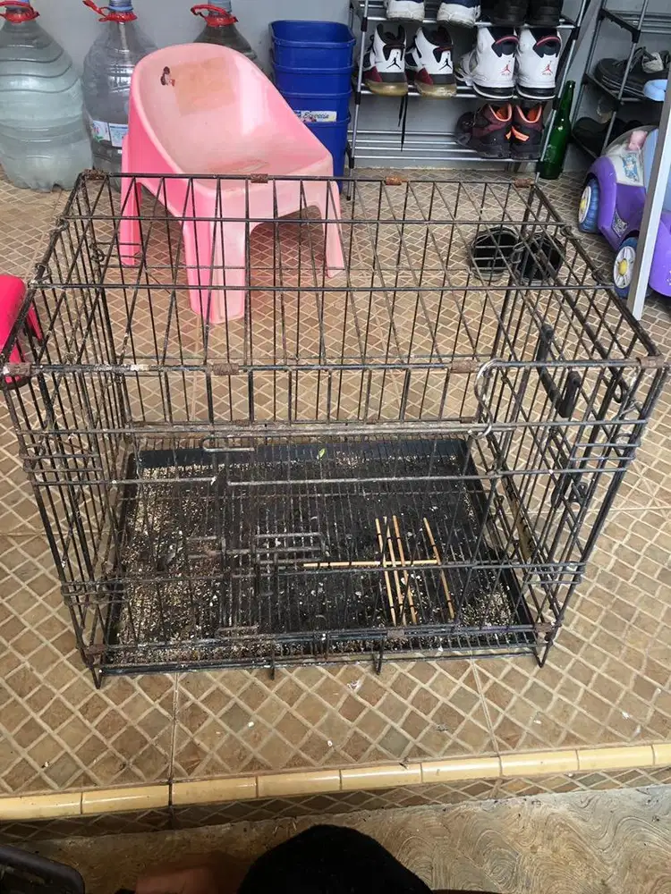 Kandang lipat 2 pintu