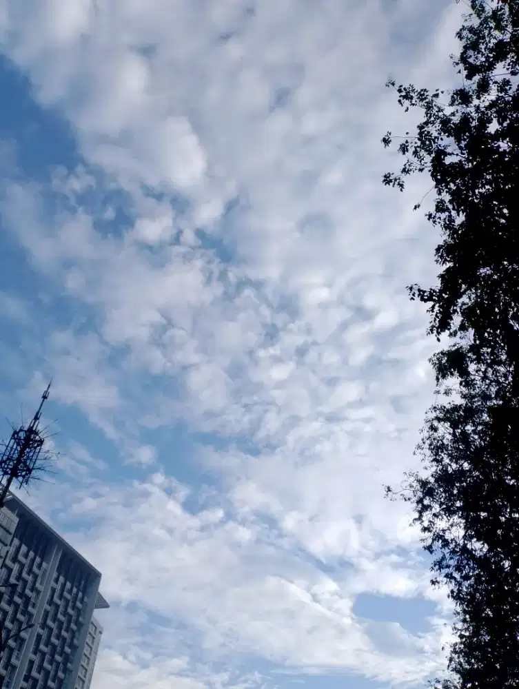 Dicari bebysister Newborn jujur dan telaten