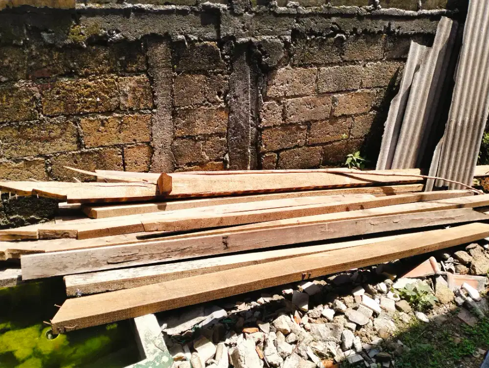 Dijual Kayu borongan