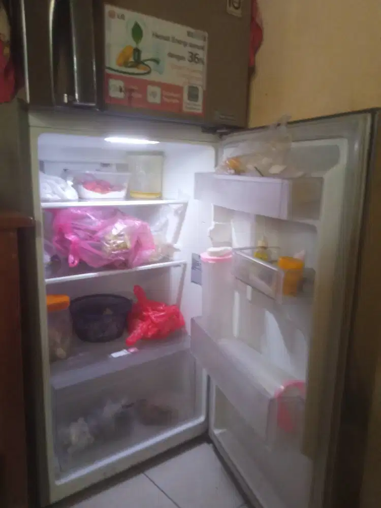 Kulkas 2 pintu LG