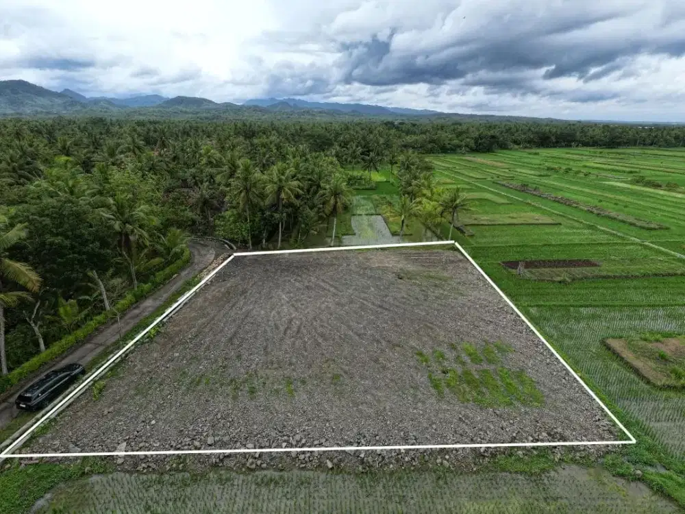 Tanah Jogja Cocok untuk Hunian atau Kost di Wates!