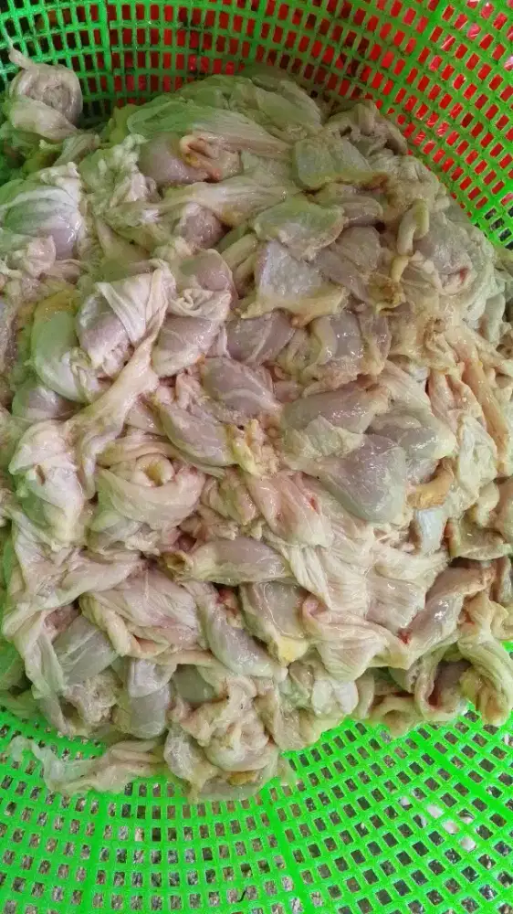 tembolok ayam (jeroan ayam)