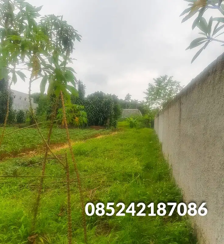 Jual Murah Tanah Rawakalong Dekat Serpong